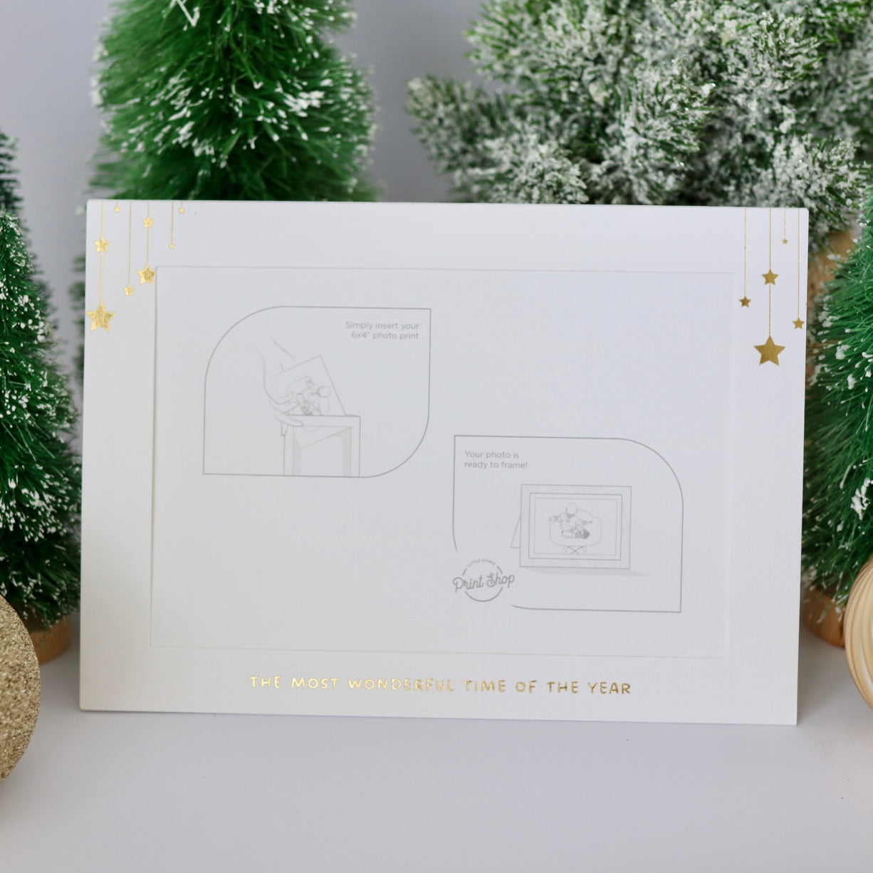 Cleo's Christmas Card