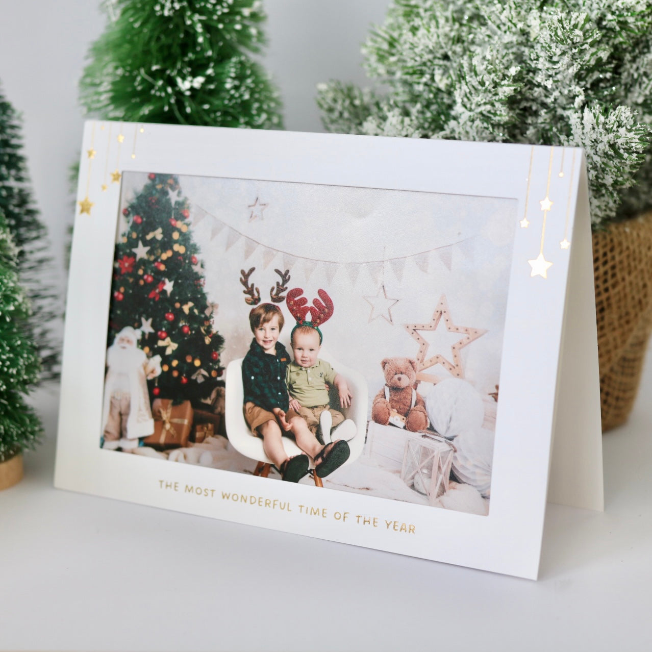 Cleo's Christmas Card