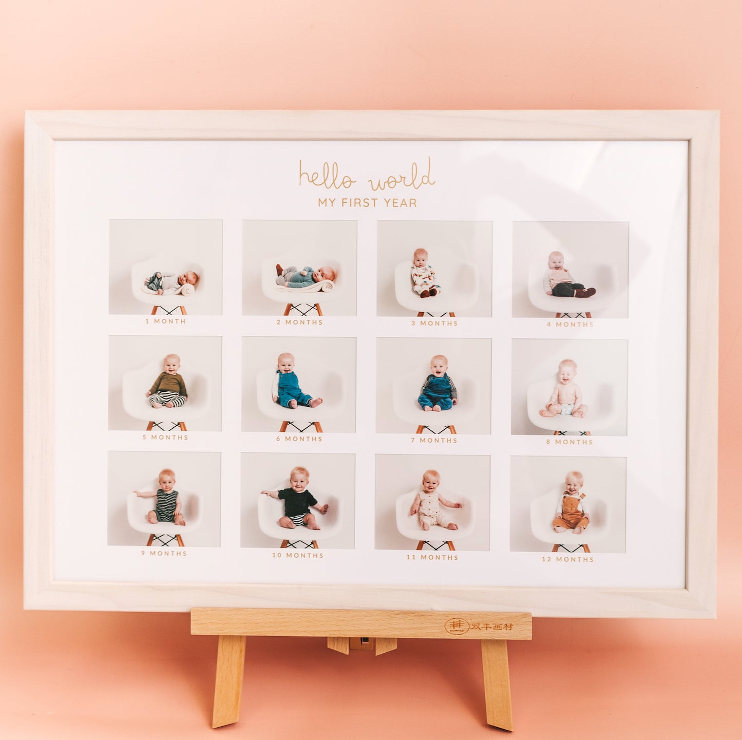 Marnie's My First Year Frame