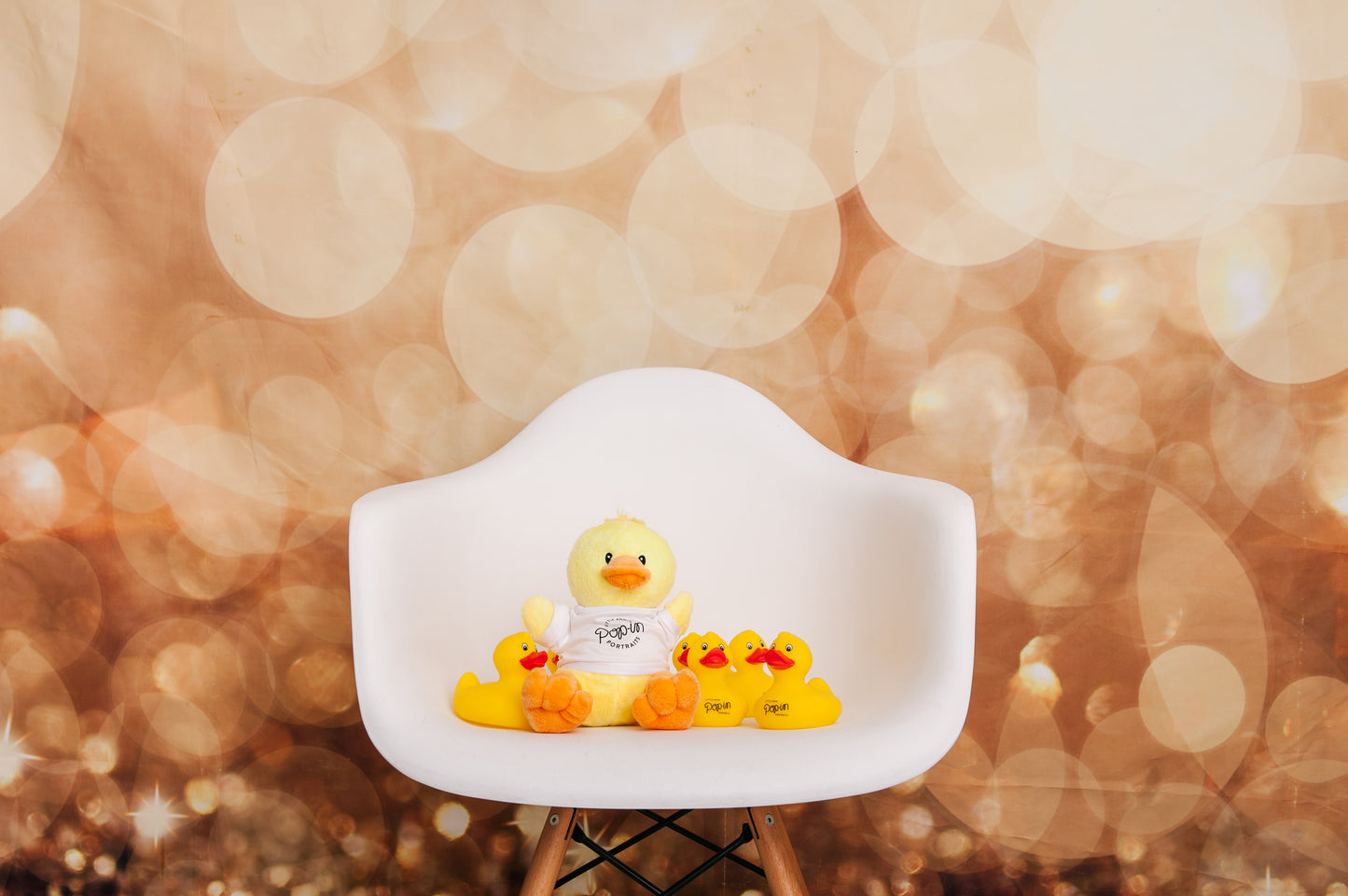 'Poppy' the Pop-in Duck