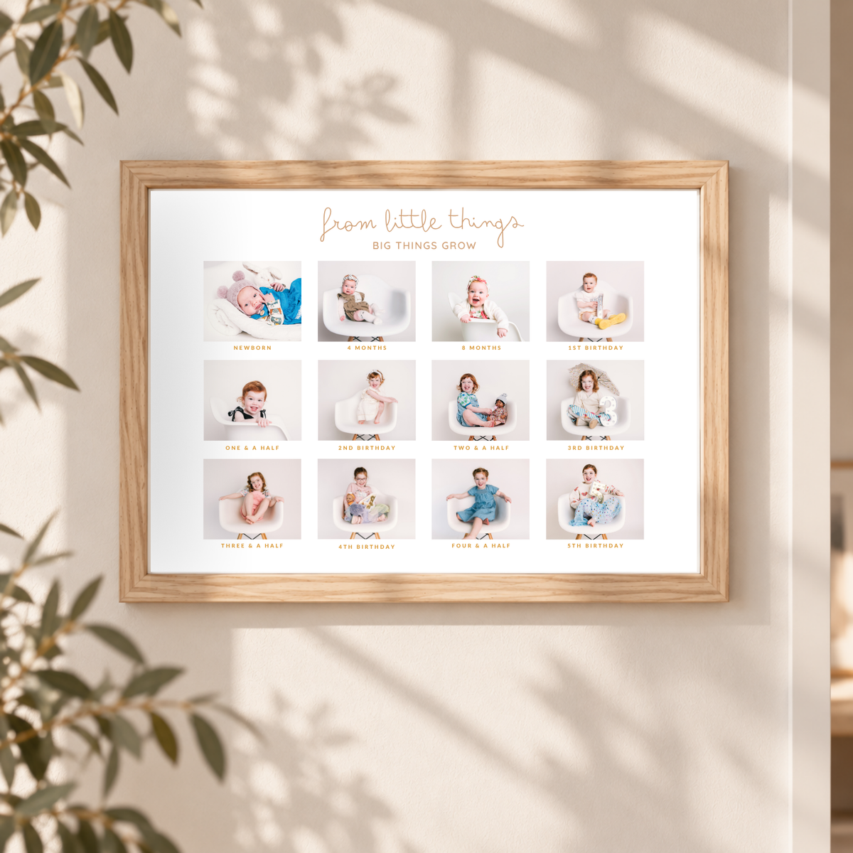 Marnie Frame - My First Year & Beyond