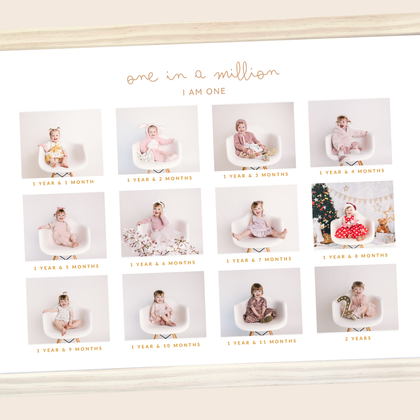 Marnie Frame - My First Year & Beyond