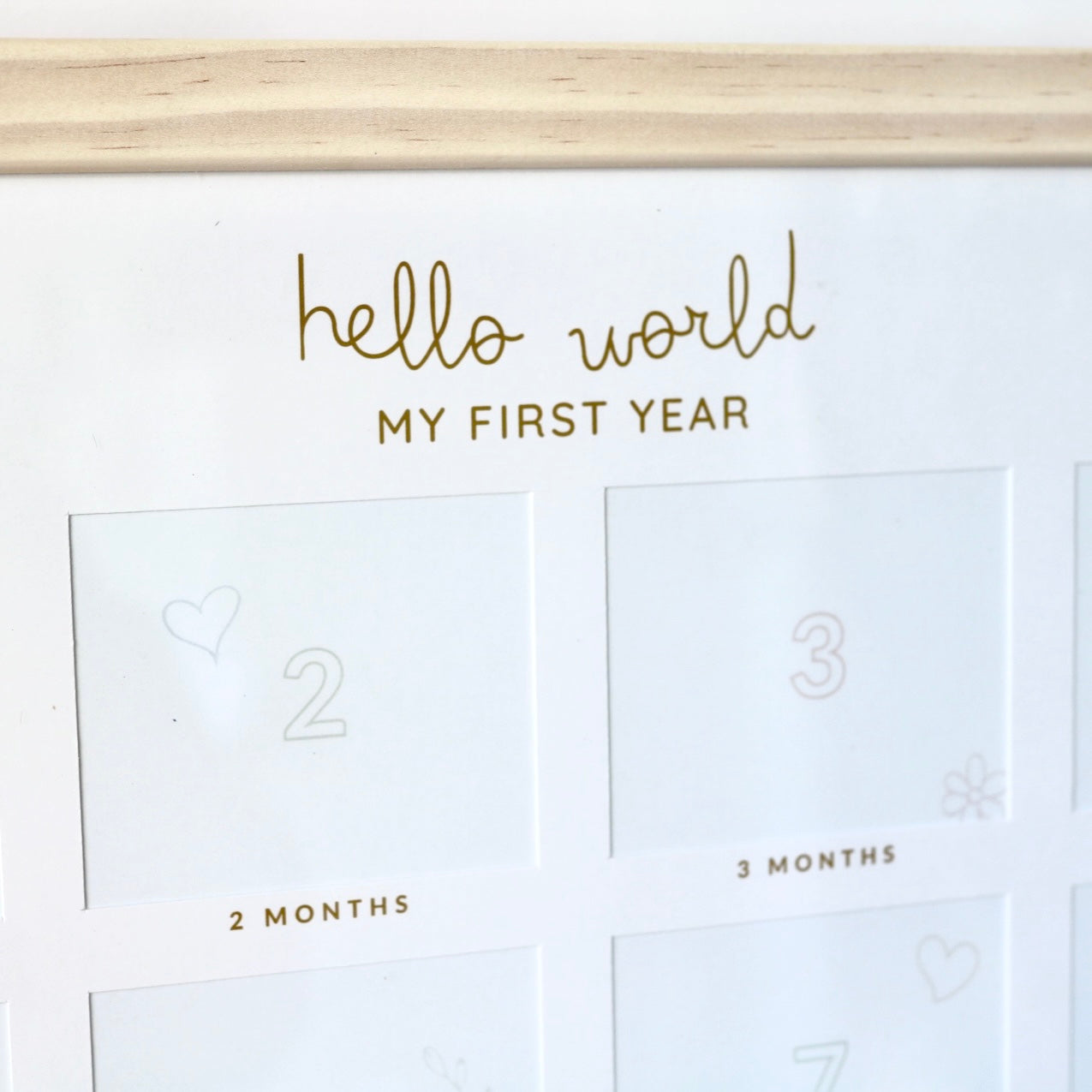 Marnie Frame - My First Year & Beyond