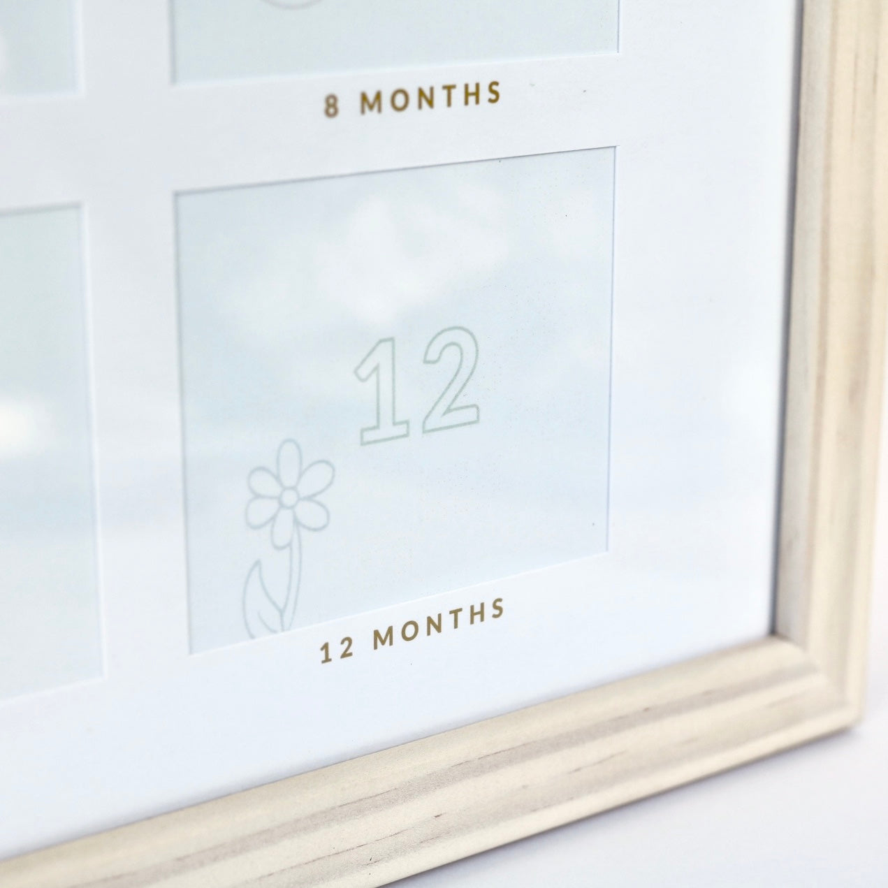 Marnie Frame - My First Year & Beyond