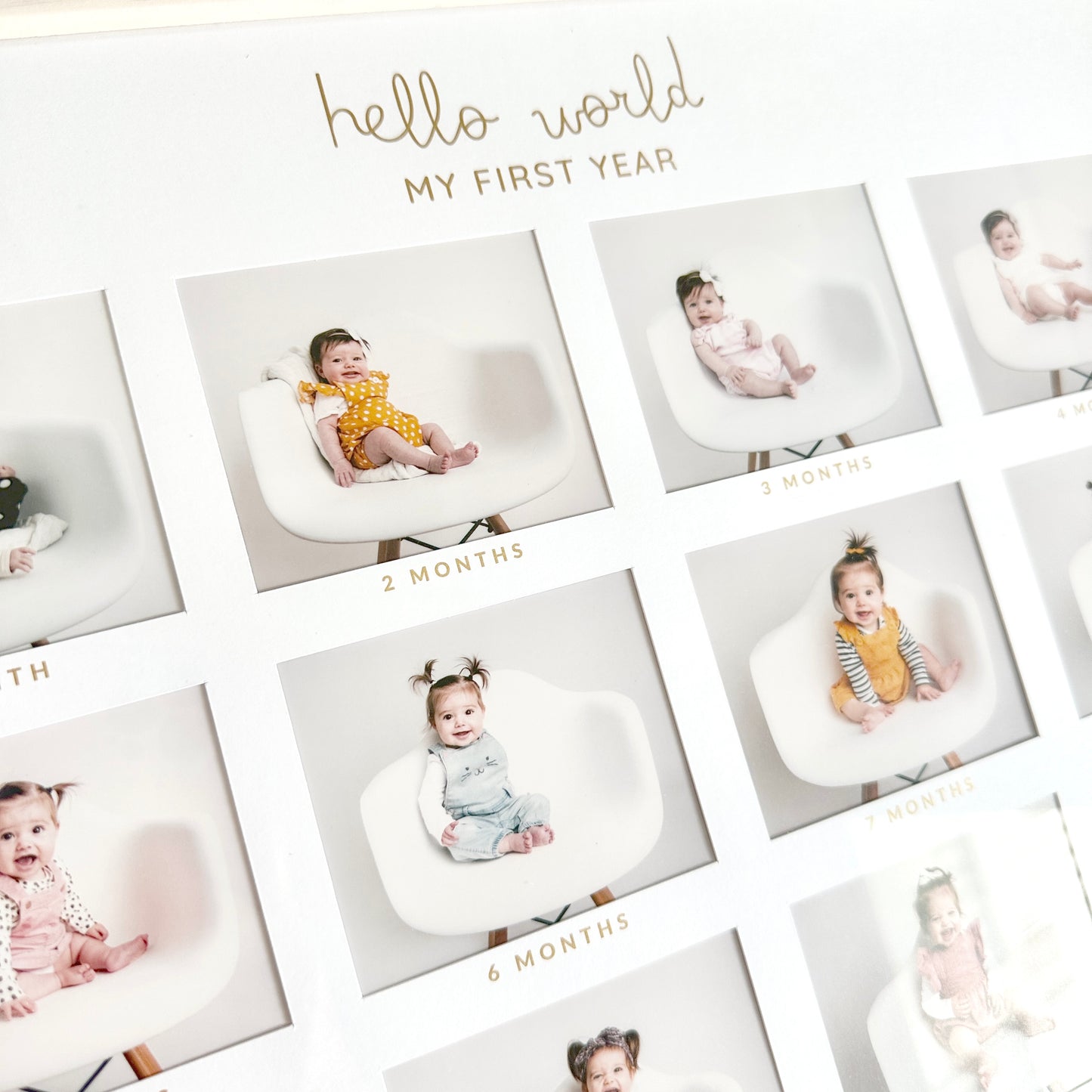 Marnie Frame - My First Year & Beyond